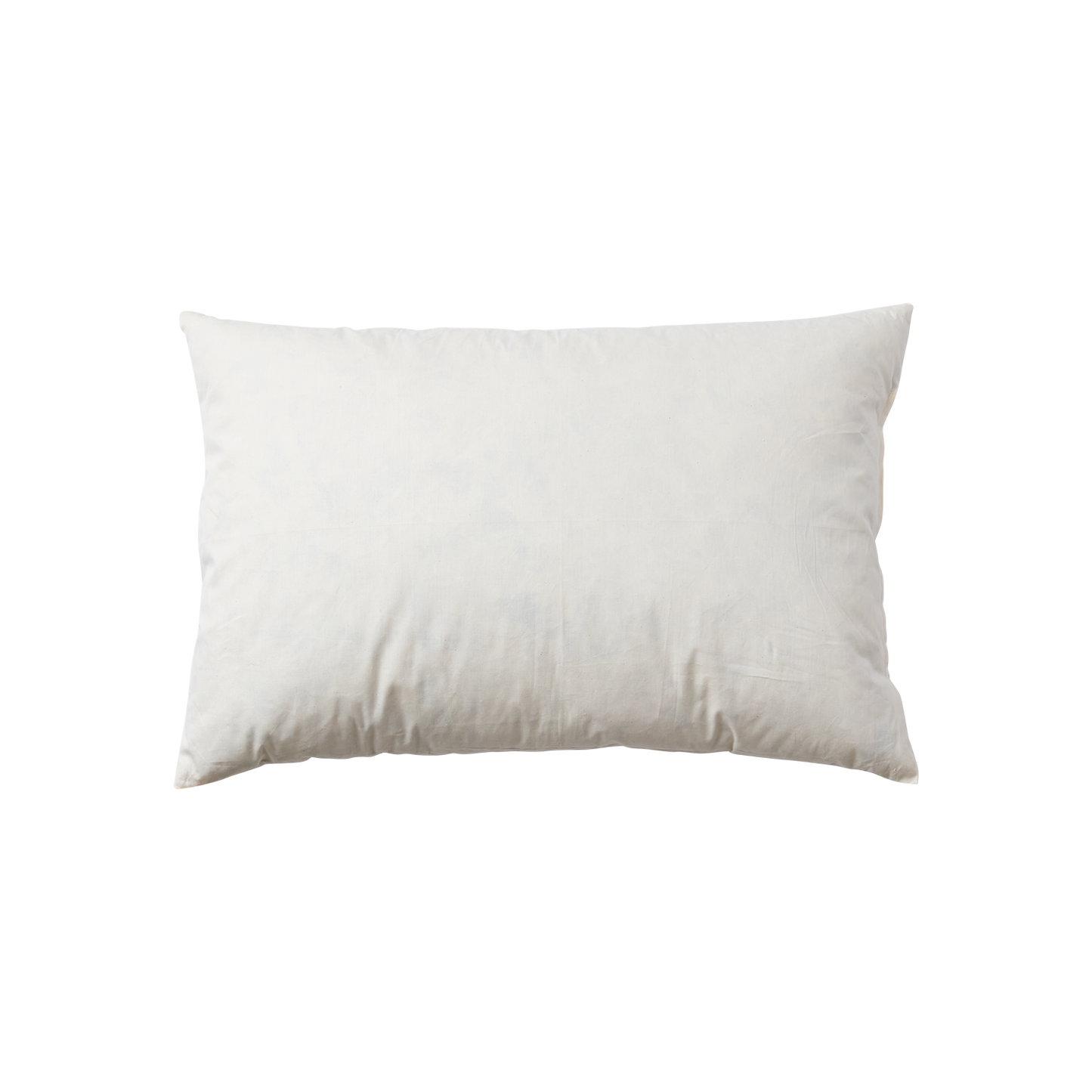 COSY Innerkudde, Beige 60 x 40 cm 2 Pack