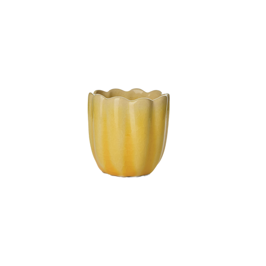 HULDA Äggkopp, Gul 12-Pack