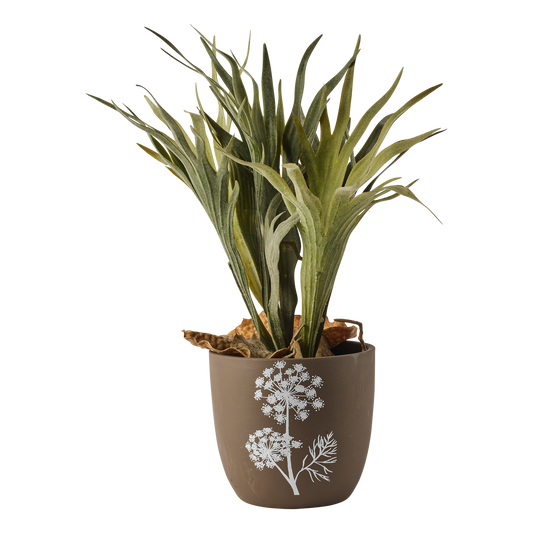 LIA Kruka, Brun/vit Set om 2