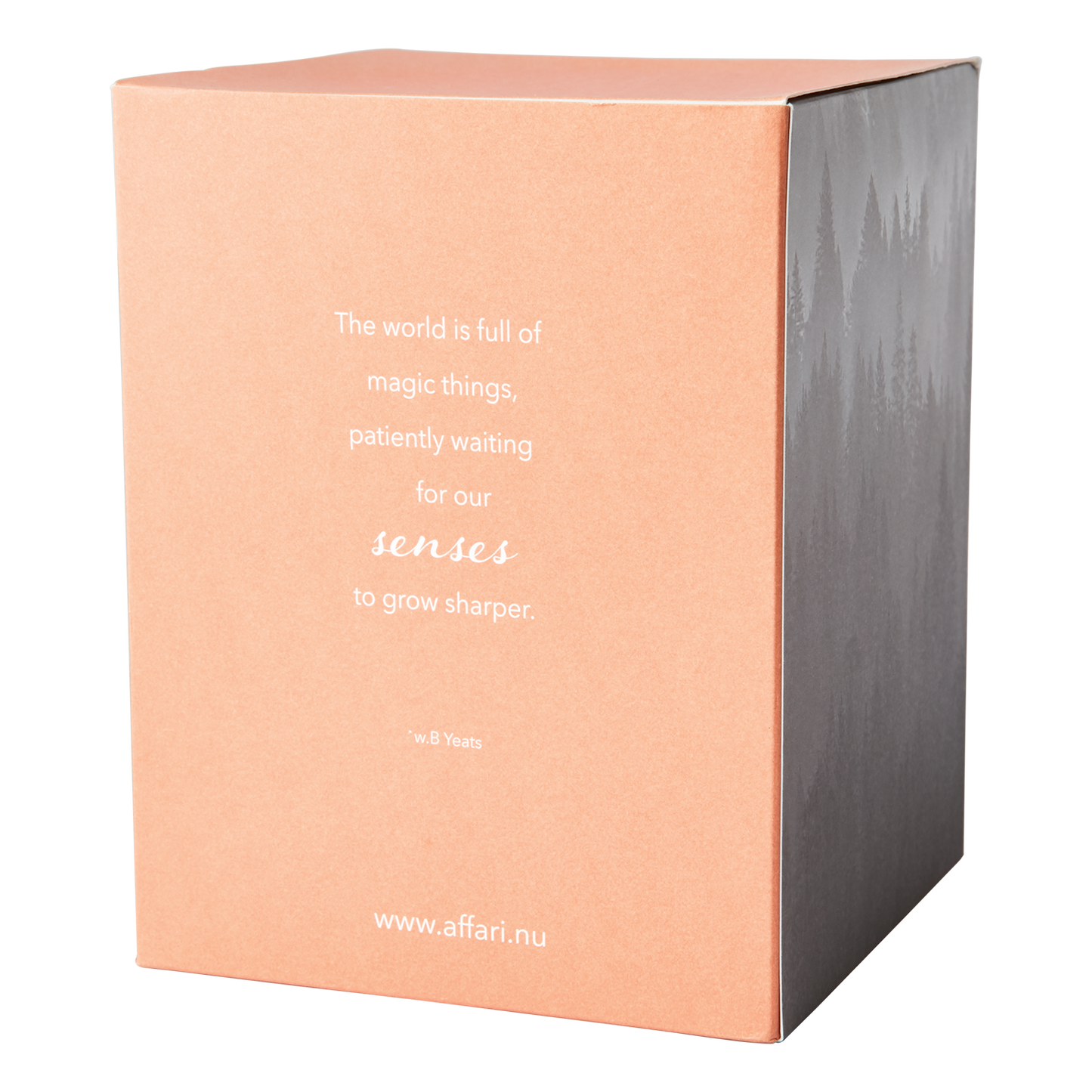SENSE Doftljus med kupa Blood orange, Orange