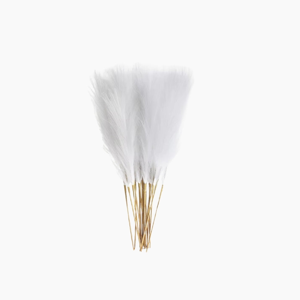 BOHO Pampasgräs 6-Pack