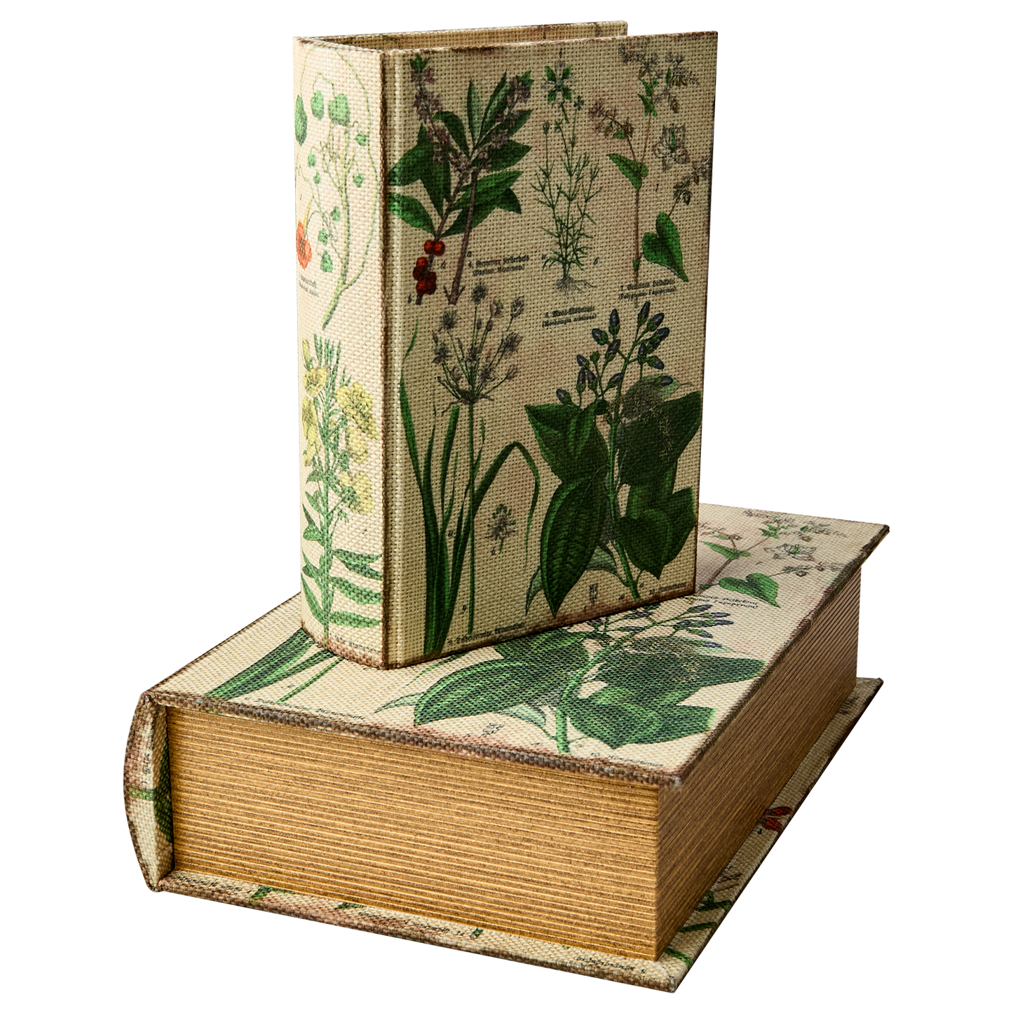 BROOKE Låda, set om 2, Natur/grön