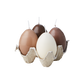 EGG CANDLES Hönsägg, 4-pack, Brun/beige/elfenben