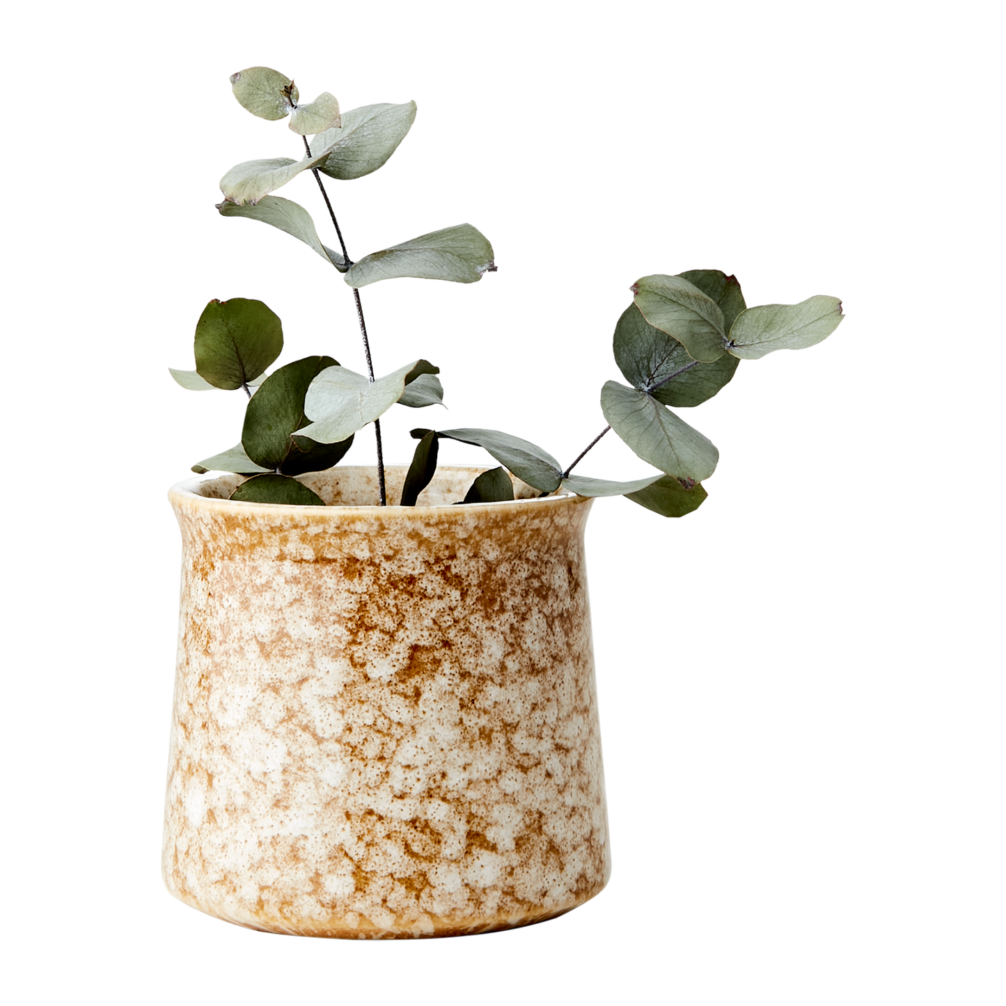 LAVA Kruka, Senapsgul